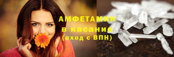 гашик Видное