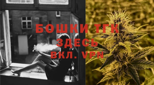 гашик Видное