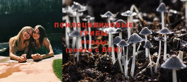 первитин Няндома